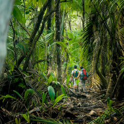 Costa-Rica-Corcovado-NP-algemene-foto (1)