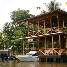 Costa Rica - Limón - Tortuguero - Manatus lodge (1)