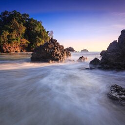 Costa Rica - Manuel Antonio National Park - Humback walvis (1)