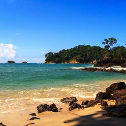 Costa Rica - Manuel Antonio National Park - Humback walvis (5)