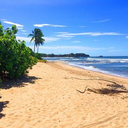 Costa-Rica-Westkust-Lagarta-Lodge-Strand - kopie