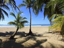 Costa-Rica-Westkust-Nosara-Bezienswaardigheid-strand