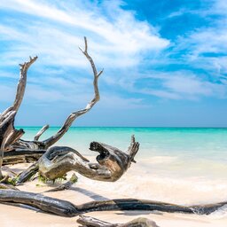 Cuba - Cayo Jutias