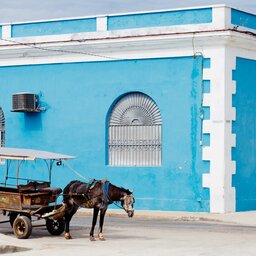 Cuba - paard en car