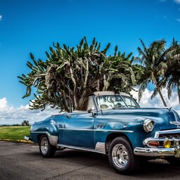 Cuba - Vintage oldtimer - auto  (1)