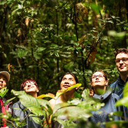 Ecuador - amazon - tourists