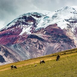 Ecuador - Chimborazo vulcano