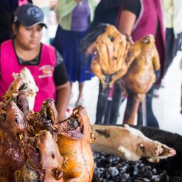 Ecuador - Cuenca (4)