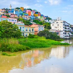 Ecuador - Guayaquil (5)