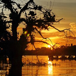 Ecuador - Laguna Grande, Cuyabeno Wildlife Reserve - amazon