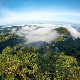 Ecuador - Mashpi - Cariaco - Mashpi lodge - Amazone (2)