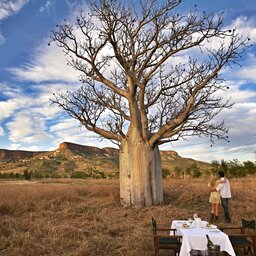 El-Questro - Homestead - Boab tree - Australië (7)