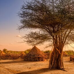 Ethiopië-Omo vallei-Hamer dorp