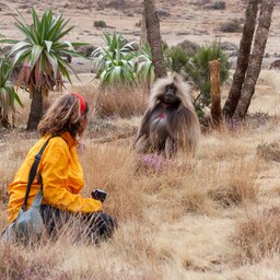 Ethiopië-Simien gebergte-Dame met Gelada bavianen