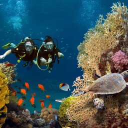 filipijnen - Duiken - Snorkelen - duiker