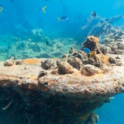 Filipijnen - Palawan - Coron - duiken - scheepswrakken (2)