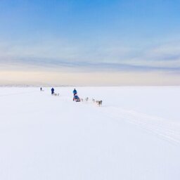 Finland-Lapland-Ivalo-wilderness-hotel-Inari-huskysafari