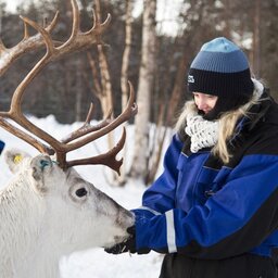 Finland-Lapland-Ivalo-wilderness-hotel-Inari-rendierboerderij