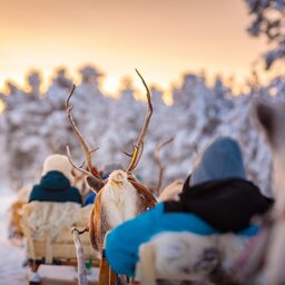 Finland-Lapland-Ivalo-wilderness-hotel-Inari-rendiersafari