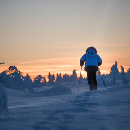 Finland-Lapland-Saariselka-Javri-Lodge-cross-country-ski-langlaufen-sneeuwschoenwandelen