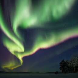 Finland-Lapland-Saariselka-Javri-Lodge-noorderlicht