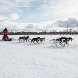 Finland-Lapland-Safaris-huskysafari