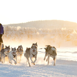 Finland-Lapland-Wilderness-Hotel-Nangu-husky-safari