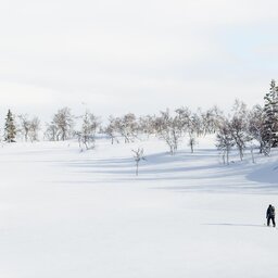 Finland-Zweden-Lapland-sneeuwschoen-wandelen 2