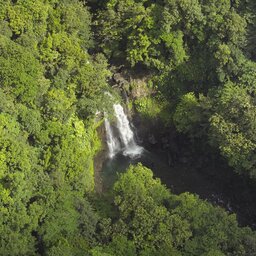 Guadeloupe-excursies-wandeling-in-het-tropische-regenwoud-waterval-Carbet