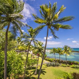 Guadeloupe-La-Créole-Beach-Hotel-tropische-zuin-zee-luchtfoto