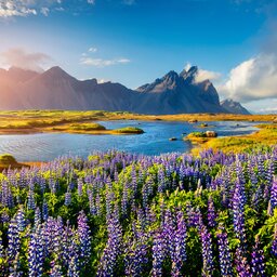 Ijsland - Stokksnes headland