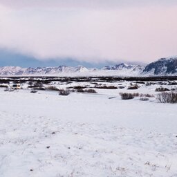 IJsland-winter-landschap-Thingvellir