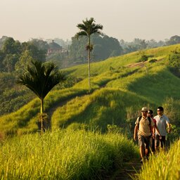 Indonesië-Bali-ochtendwandeling