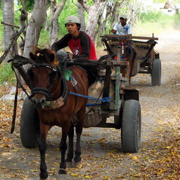 Indonesië-Gili-Eilanden-paardenkar