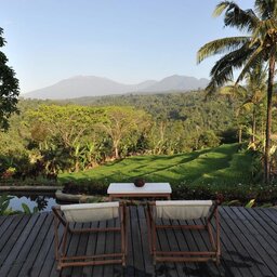 Indonesië-Java-Ijen-Resort-en-Villas-terras
