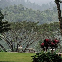 Indonesië-Java-Ijen-Resort-en-Villas-tuin