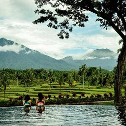 Indonesië-Java-Ijen-Resort-en-Villas-zwembad-2