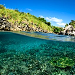 Indonesië-Misool-Misool-Resort-Hutjes-3