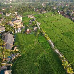 Indonesië-Ubud-Wapa-di-Ume-Ubud-luchtfoto