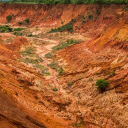 Irodo-Rode-tsingy-shutterstock_2264556579
