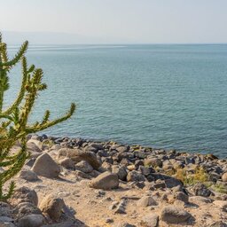 Israël - noord - Meer van Tiberias