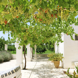 Italie-Masseria-Potenti-Terras-2