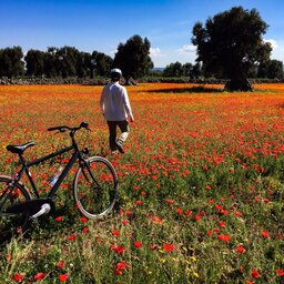 Italie-Puglia-Excursie-Bike-&-taste-the-countryside (2)