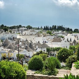 Italië-Puglia-Excursie-Vespa-tour-van-Alberobello-naar-Locorotondo (2)