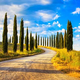 Italië - Siena - Toscane