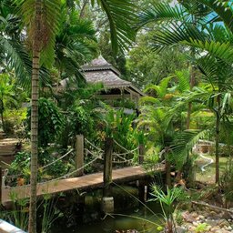 Jamaica-Ocho Rios-Hibiscus Lodge-tuin