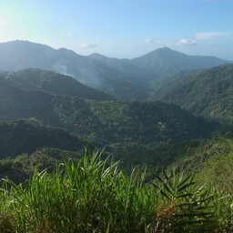 Jamaica - Port Antonio - Mockingbird Hill Hotel (14)