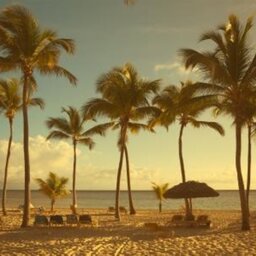 Jamaica  Seaside view