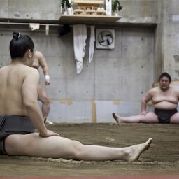 Japan-Hoogtepunt3-Sumo Worstelen