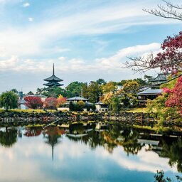 Japan-Kyoto-Bezienswaardigheden-Dagtrip-naar-Nikko-2